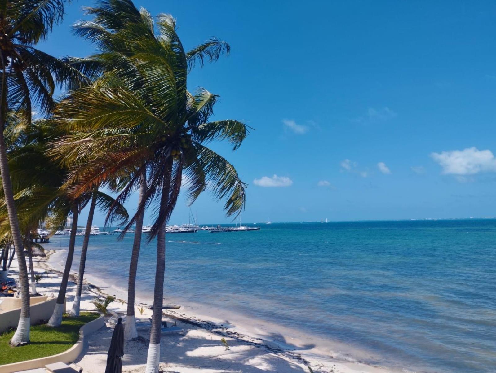 Cancun Ocean View Playa Del Nino Cameră foto