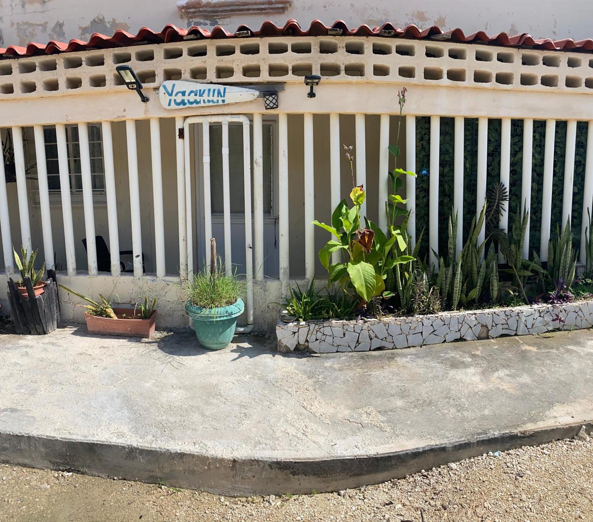 Cancun Ocean View Playa Del Nino Cameră foto